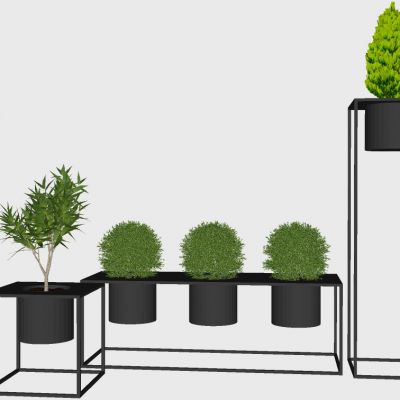 室内植物绿植盆栽花盆花架