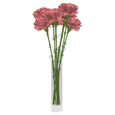 现代玻璃花瓶插花花艺摆件