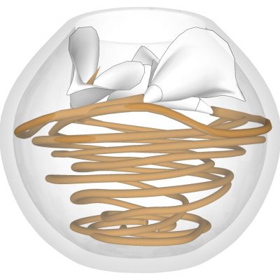 现代玻璃花瓶插花花艺摆件饰品