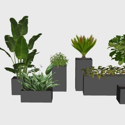 室内植物绿植盆栽花盆