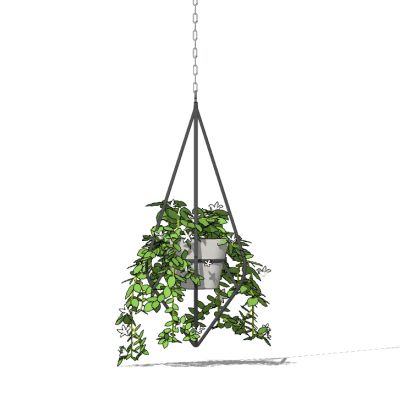 吊挂植物吊篮花艺