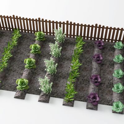 现代菜地 蔬菜3D模型