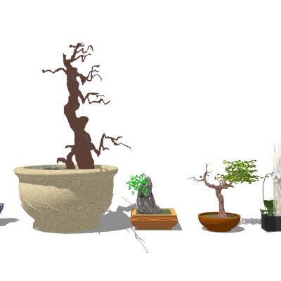 新中式盆景
