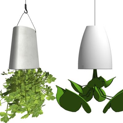 吊挂植物吊篮花艺