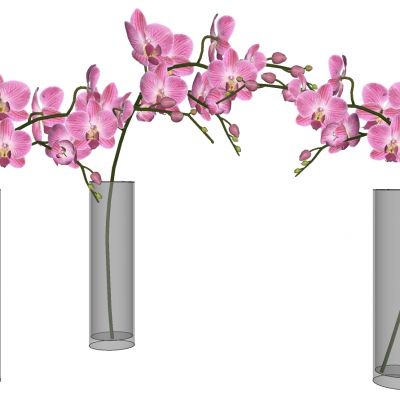 现代玻璃插花花瓶摆件蝴蝶兰