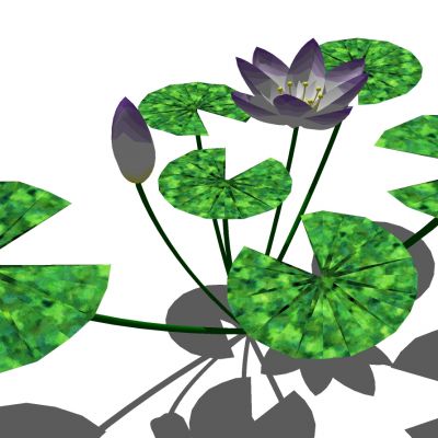 荷花睡莲荷叶SU模型