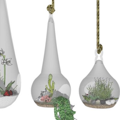 吊挂植物吊篮花艺