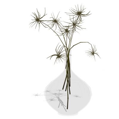 现代玻璃花瓶插花花艺摆件