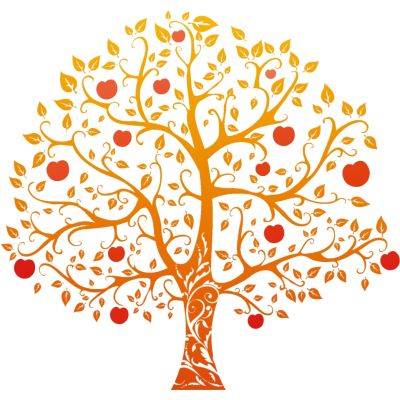 室外园林景观树苹果树