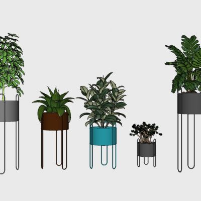 室内植物绿植盆栽花盆花架