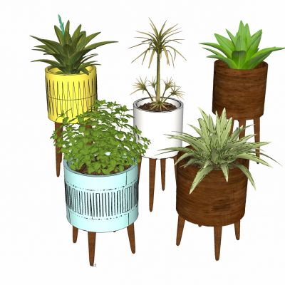 现代植物盆栽花盆