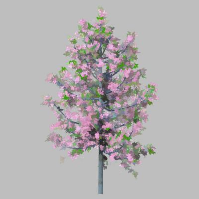 室外园林景观植物景观树