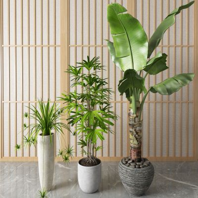 新中式盆栽 盆景