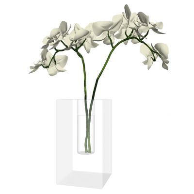 现代玻璃插花花瓶摆件蝴蝶兰