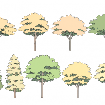 手绘抽象风格景观植物树