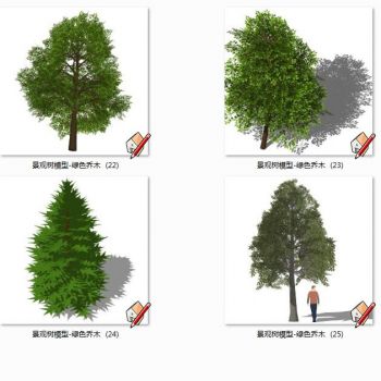 绿色乔木