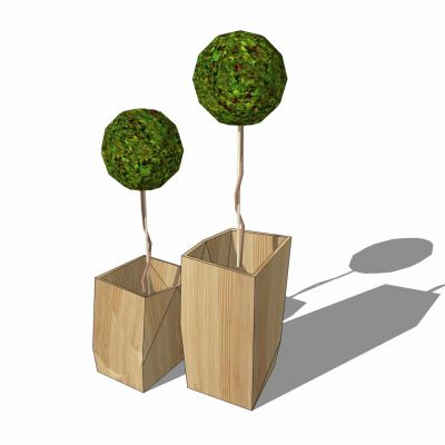 现代植物盆栽花盆