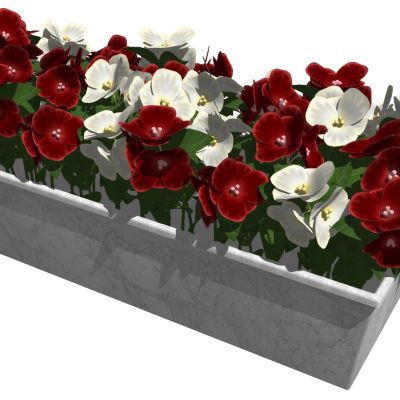 花槽花箱花艺