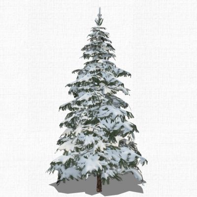 景观树雪景松树枯树