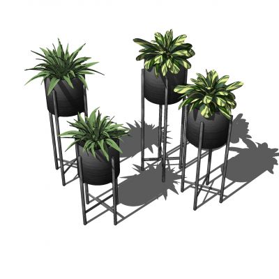 现代植物盆栽花盆花架