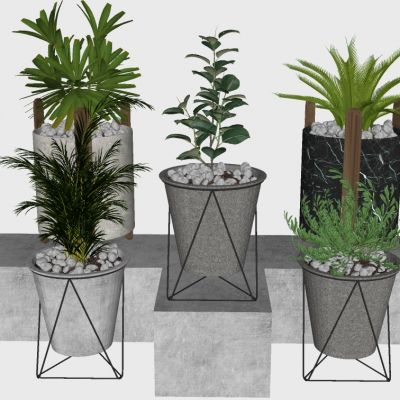 室内植物绿植盆栽花盆花架