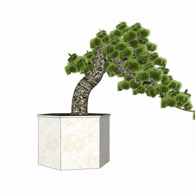 现代植物盆栽花钵花盆花槽