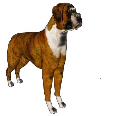动物宠物狗3D模型