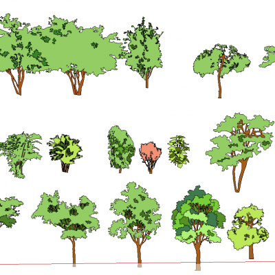 景观手绘风格植物树