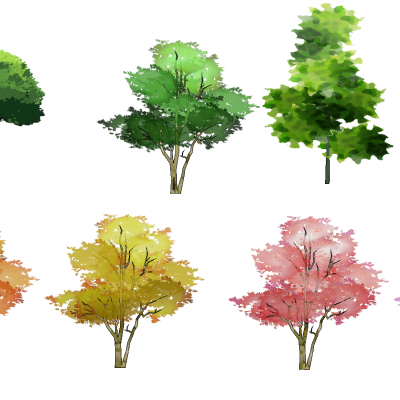 景观手绘风格植物树