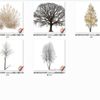 园林景观枯树冬季树