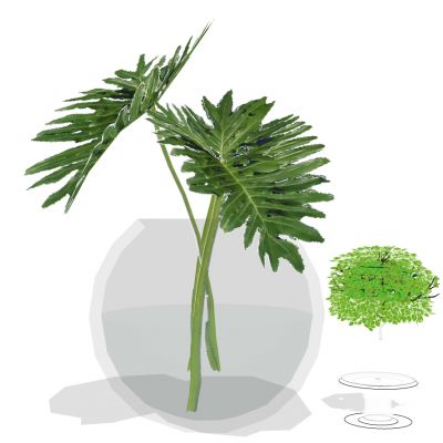 现代玻璃花瓶插花花艺摆件