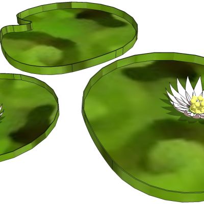 荷花睡莲荷叶SU模型