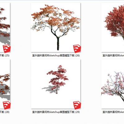 室外园林景观树