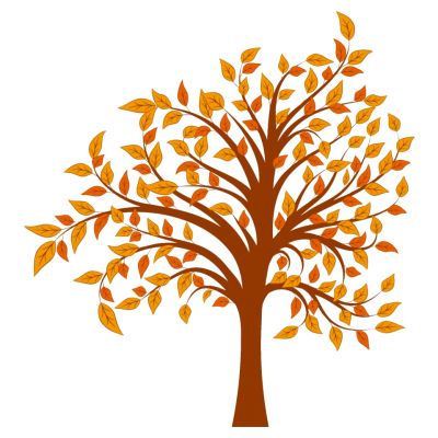 室外园林景观树秋叶树