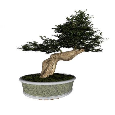 现代植物盆景花盆花槽