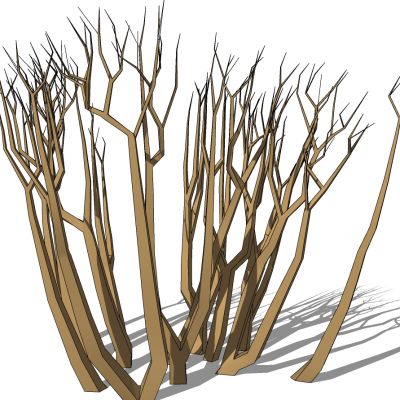 室外园林景观植物景观树