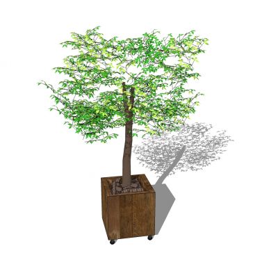 现代植物盆栽花盆花槽