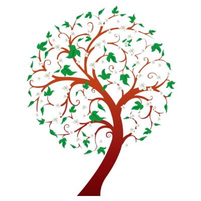 室外园林景观树梅花树