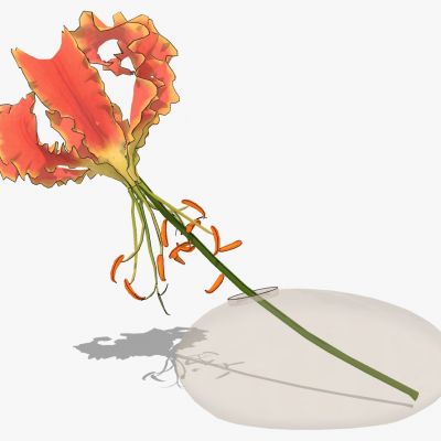 现代花瓶花艺插花摆件饰品