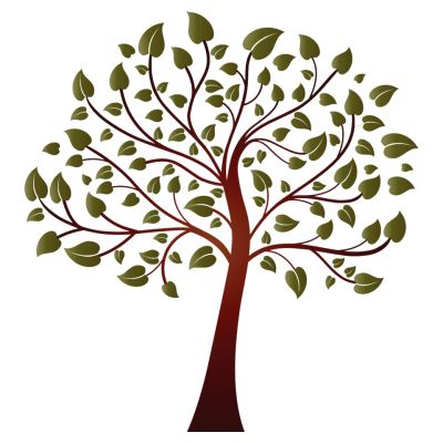 室外园林景观树绿叶树