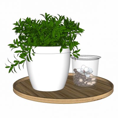 现代植物盆栽盆花盆花瓶花托盘