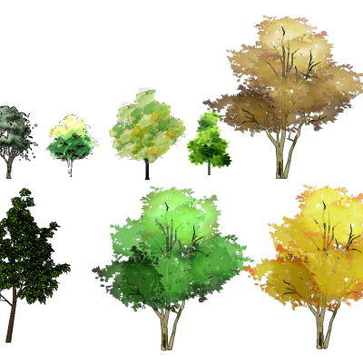 景观手绘风格植物树