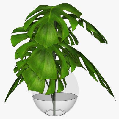 现代玻璃花瓶插花花艺芭蕉叶职务摆件饰品b