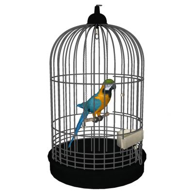 动物鹦鹉鸟笼