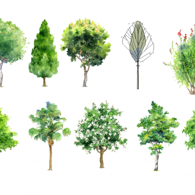 手绘抽象风格景观植物树