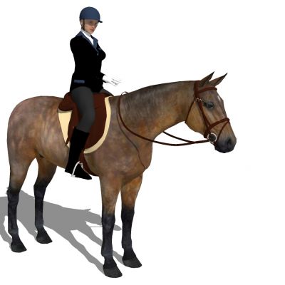 动物马马术人物