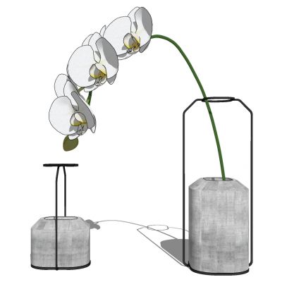 现代玻璃插花花瓶摆件蝴蝶兰