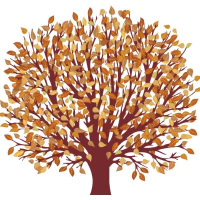 室外园林景观树黄叶树