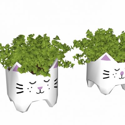 现代植物盆栽花盆