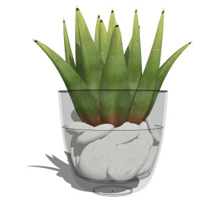 现代玻璃花瓶插花花艺摆件